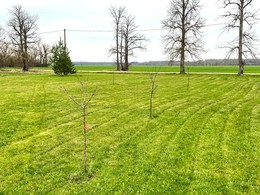 Parduodamas namas Klaipėdos 15, Naujųjų Lažų k., 74.46 kv.m ploto, 1 aukštai