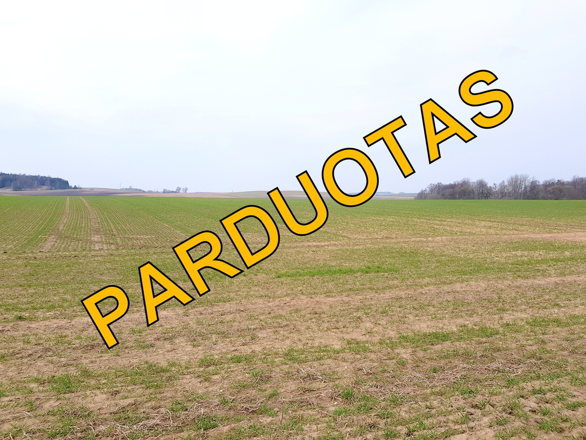 Parduodamas dirbamos žemės sklypas Diktariškių k., Radviliškio raj. 15,83 ha ploto - <strong>95 000 €